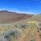 Trail to Propeller Meadows