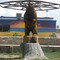 Grizzly Bear