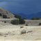 Along Hwy 180 in western New Mexico