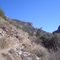 Trail through grassy area