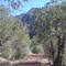Whitewater Canyon Trail