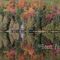 Dummer Pond by deepfrogphoto