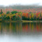 Waterside in fall, NH