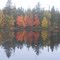 Reflections