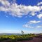 Deer Mountain South