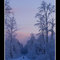 Skiing Centennial Trail Sunset