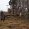 Cattus Island Park