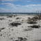 Island Beach State Park