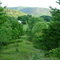 Nature Preserve on Rt. 10 facing ssw