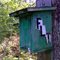 FLT M29 0.05 mi - Register near DOT Tower Rd