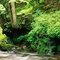 Carcass Brook
