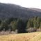 Bear Spring Mountain WMA