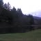Bear Spring park