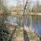 Pond Meerblok, Rijkevorsel, Belgium