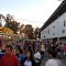 Great Darke County Fair