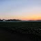 Sun Soon to Rise  - from Union City Rd