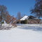 First Snow 06