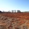 New plot of land being built up OKC Dec 2011