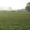 Landschap