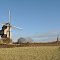 Le "Noordmeulen" et l'église de Hondschoote