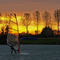 Sunset surfer