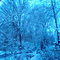Winter Wonderland