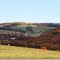 Rolling Hills
