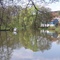 Teich in Cunewalde