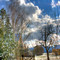 Winter in Meschwitz