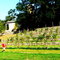 Grosskühnau - Weinberg im Schlosspark