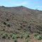private clearcut alongside the Days Creek Cutoff Road