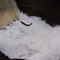 Fish Ladder