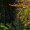 Herbstlicht