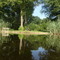Badestelle am Klessener See