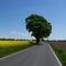 Landstrasse -rolo 2008-