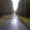 Kienbaum, Fahrradstraße vom Maxsee nach Jänickendorf