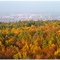 BL_29.10.2011 Herbstlicher Blick nach Fürstenwalde (Spree)