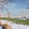 Lewitzwiesen im Winter (1)