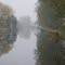 MISTY  MORNING