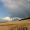 Regenbogen an der Fuchsfarm
