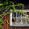 Kotzschgarten_B