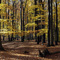 Hoehenpark_Dresden_Wachwitz_1