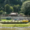 Obervogelgesang