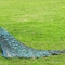 Der Pfau zeigt seine Schleppe