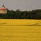 Canola and Schloss Hirschstein