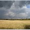 April im Sommer, 2011
