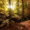 Autumn in Germany