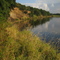 Das Rote Ufer 2008
