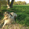 Kleine Racker 01