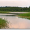 Am Kotzower See